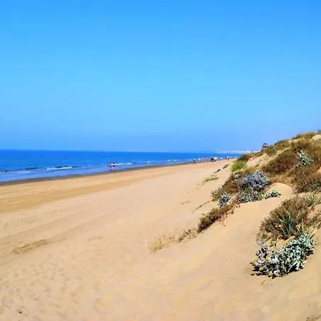 In Near Nikki * Marbella